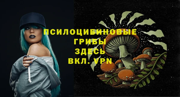 мескалин Алексин