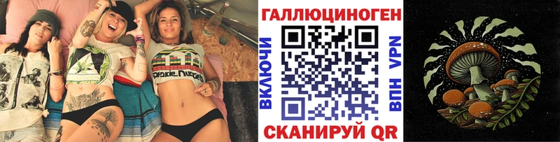 как найти закладки Волгодонск Галлюциногенные грибы Psilocybe